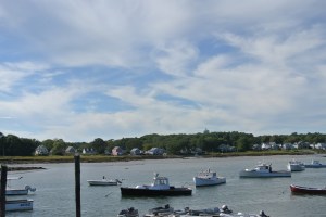Cape Porpoise 